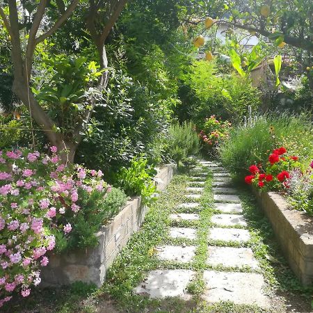 Il Vialetto Dei Limoni Bed & Breakfast Vico Equense Bagian luar foto