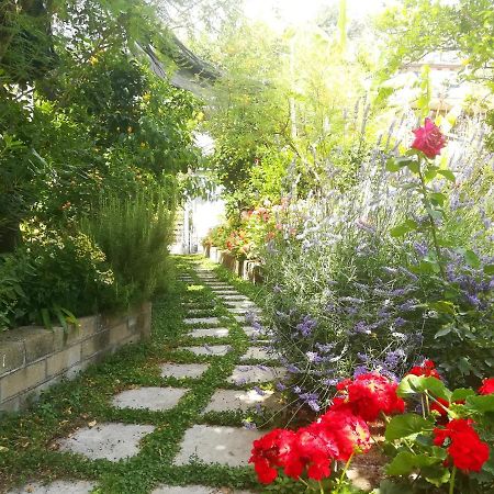Il Vialetto Dei Limoni Bed & Breakfast Vico Equense Bagian luar foto