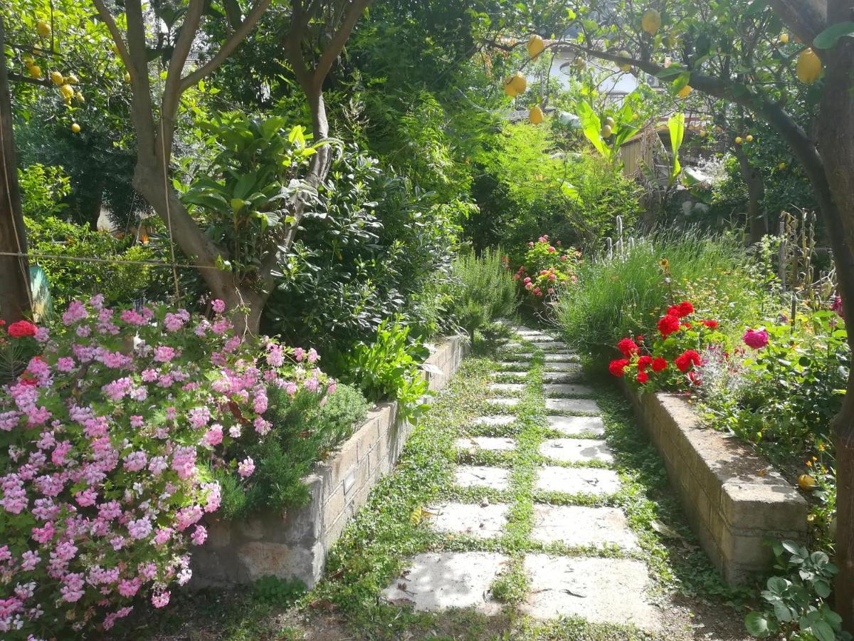Il Vialetto Dei Limoni Bed & Breakfast Vico Equense Bagian luar foto