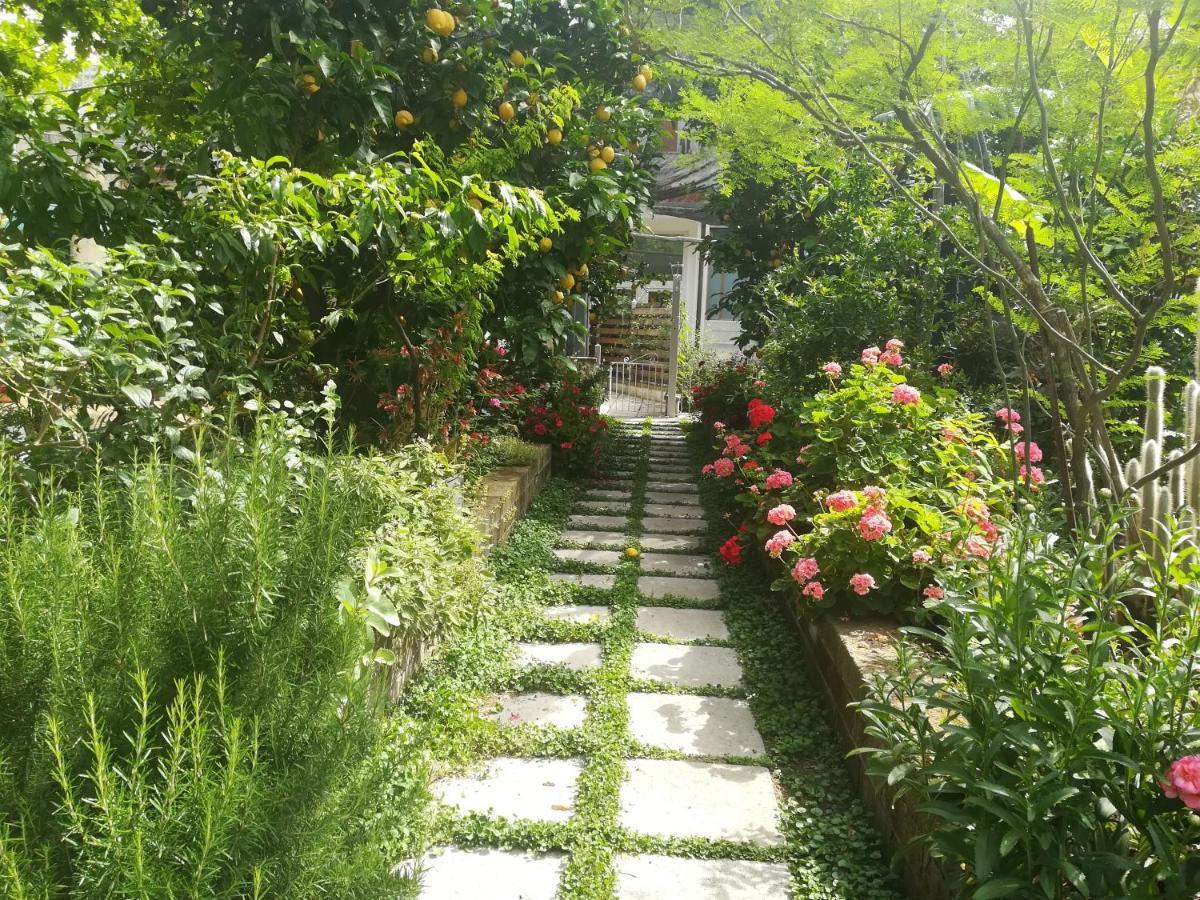 Il Vialetto Dei Limoni Bed & Breakfast Vico Equense Bagian luar foto